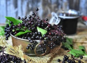 elder, elderberries, berry